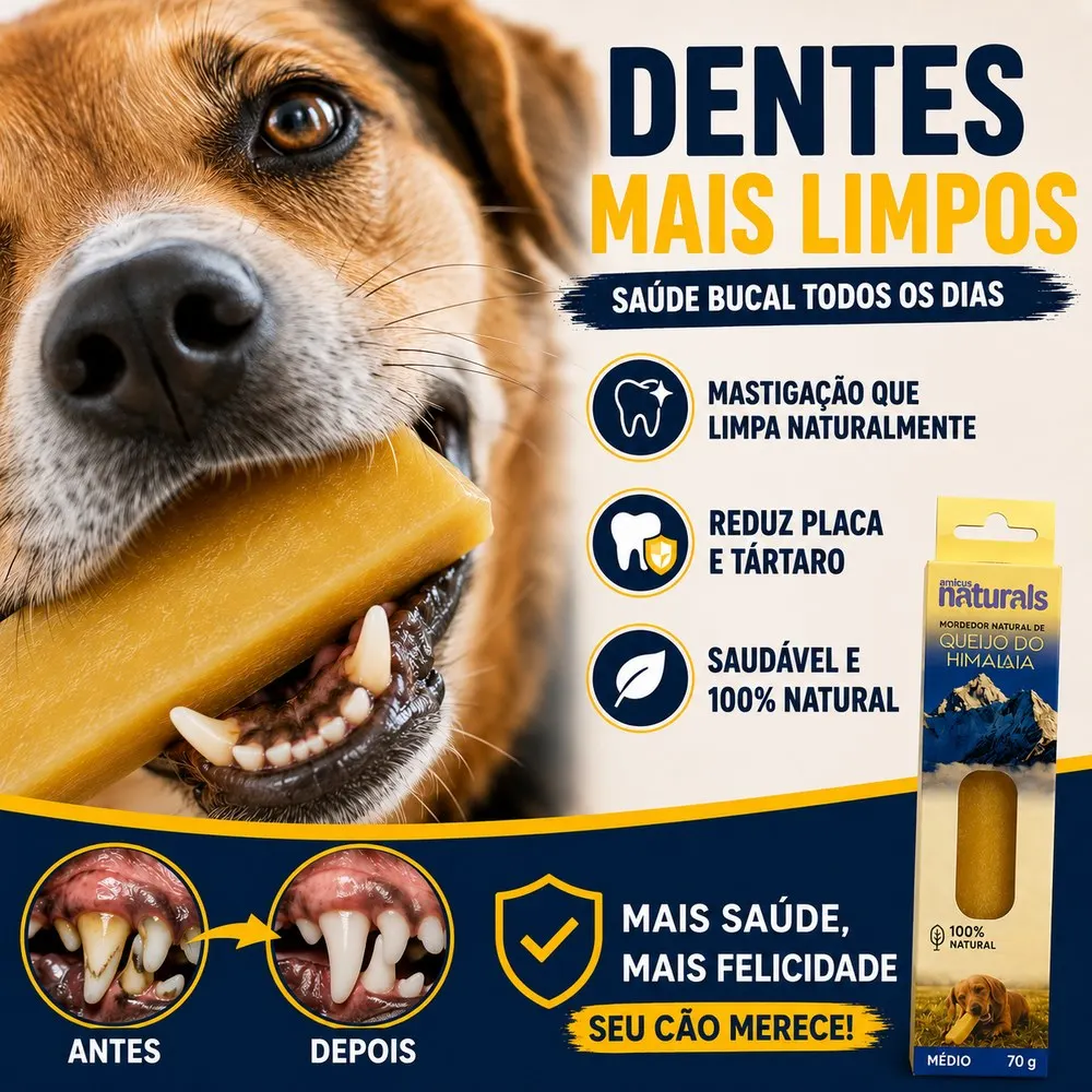 Petisco Amicus Queijo Yak Natural do Himalaia Médio 70 g
