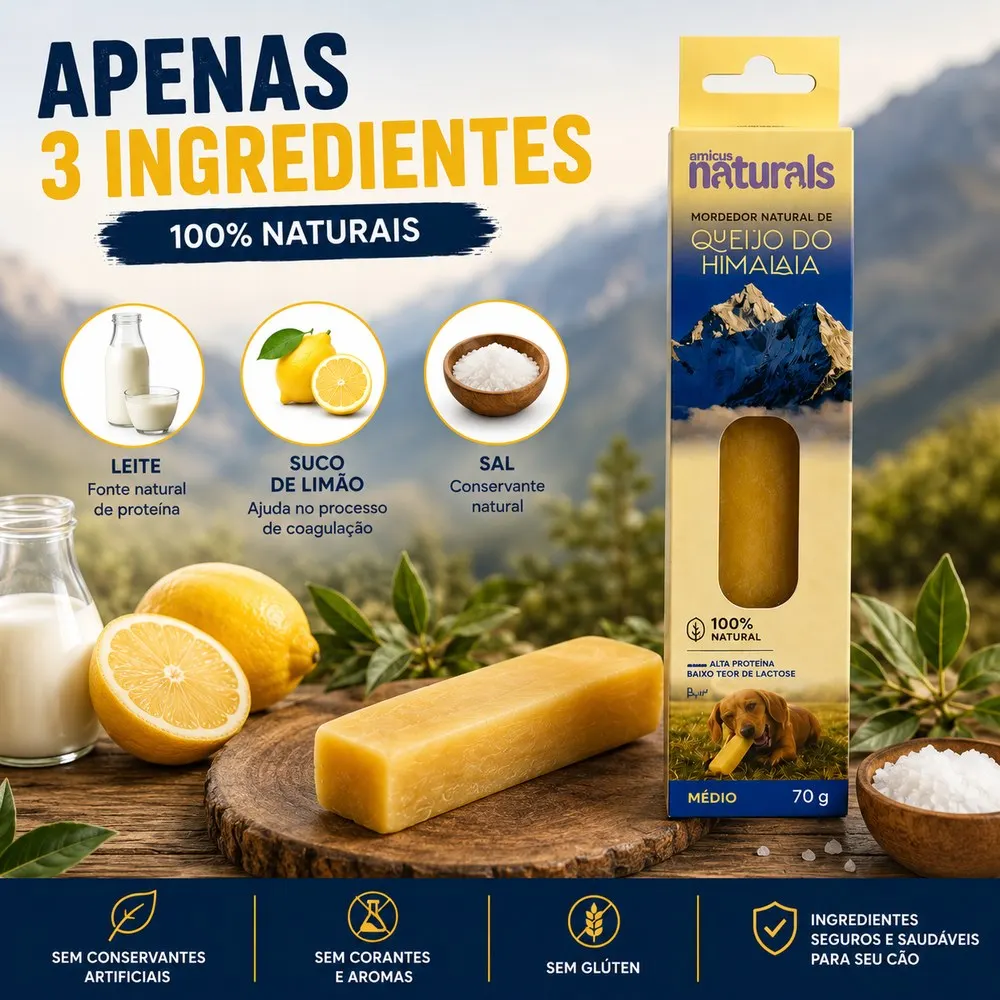 Petisco Amicus Queijo Yak Natural do Himalaia Médio 70 g