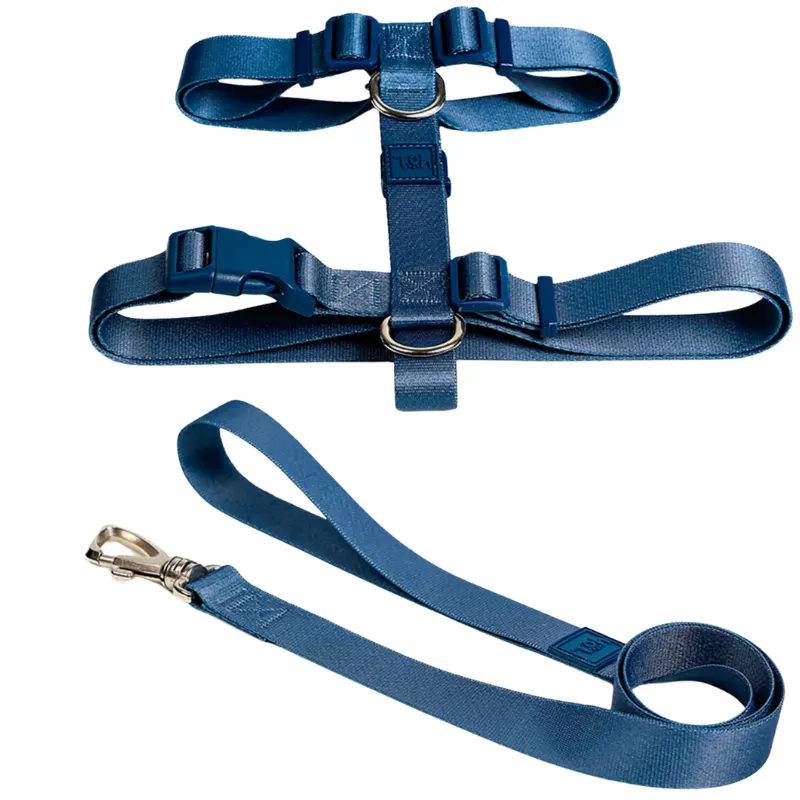 Conjunto Peitoral Mesh H e Guia M Marine  Toh