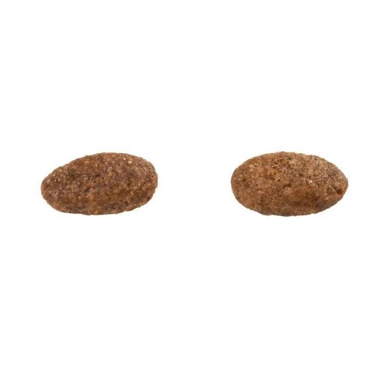 Ração G Natural Cães ADT Médio Cordeiro e Aveia 2,5kg