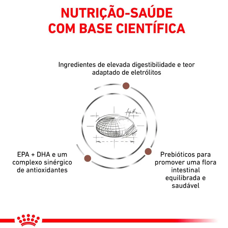 Ração Royal Canin Gastrointestinal 10,1 Kg