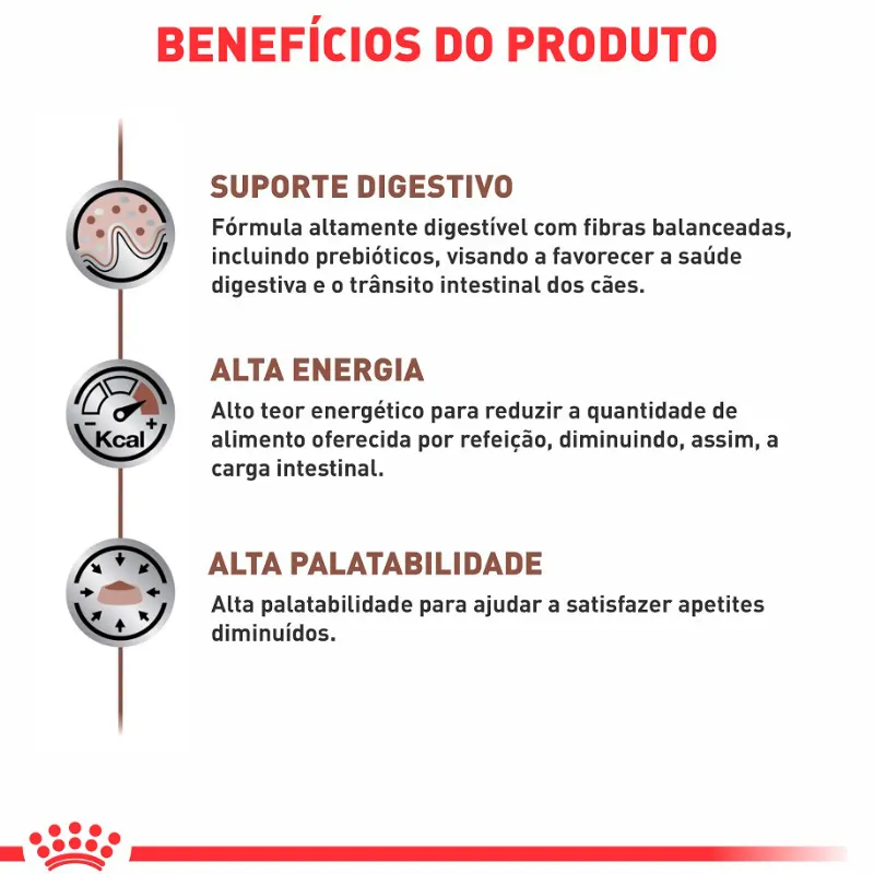 Ração Royal Canin Gastrointestinal 10,1 Kg