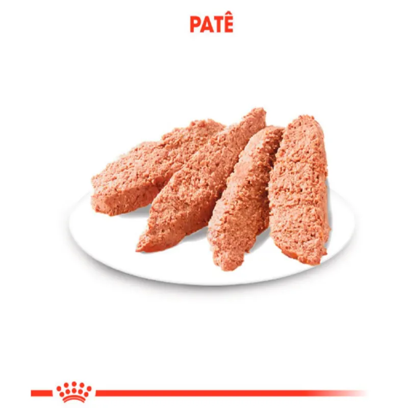 Ração Úmida Royal Canin Sachê para Gatos Adultos Castrados 85 g