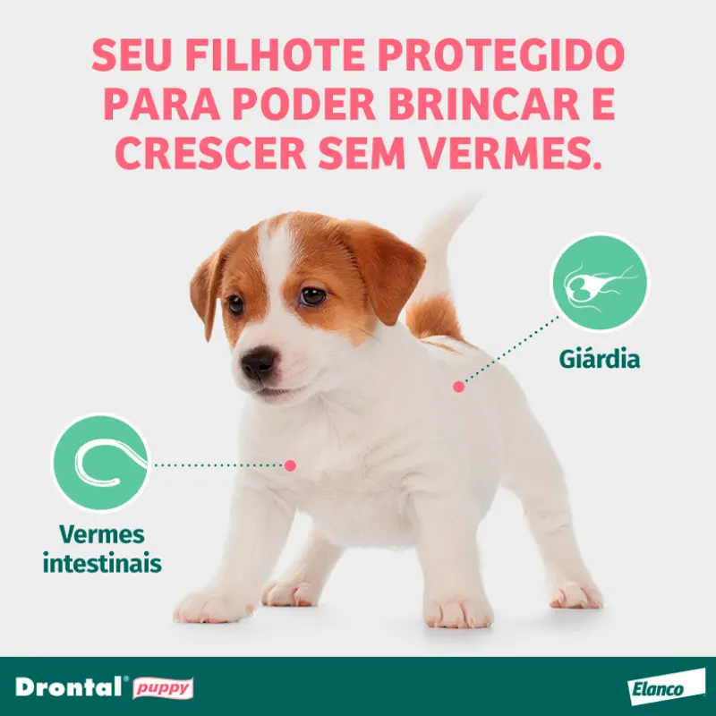 Vermífugo Drontal Puppy 20 ml