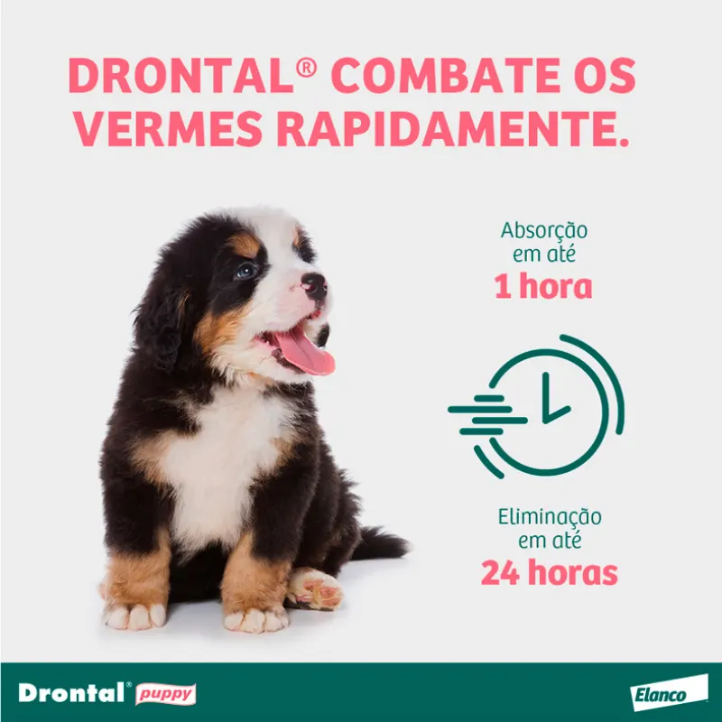 Vermífugo Drontal Puppy 20 ml