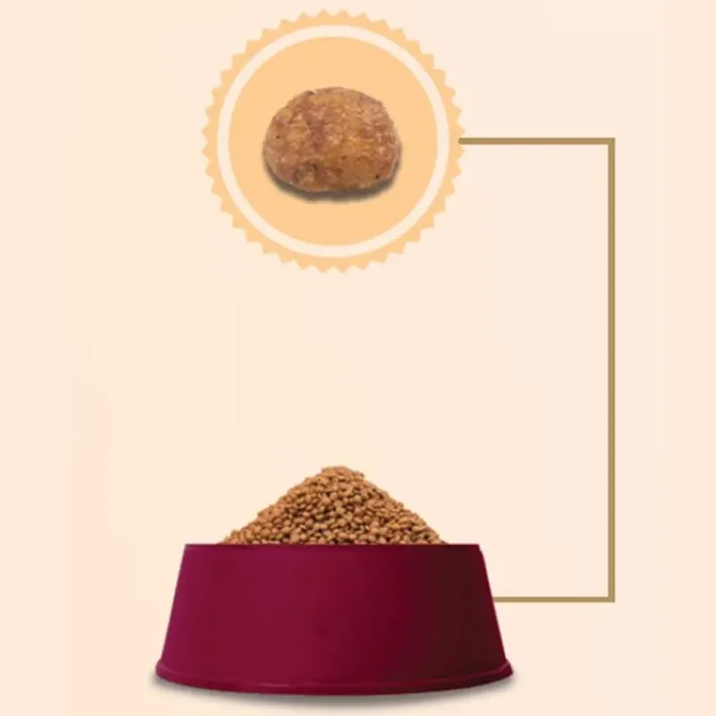 Ração GranPlus Gato Menu Filhote Frango e Arroz