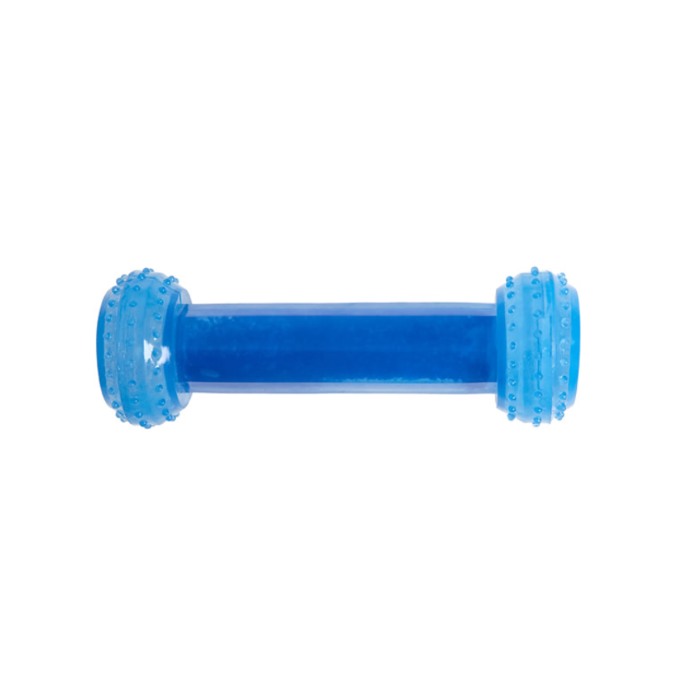 Brinquedo Halteres Gelado Home pet