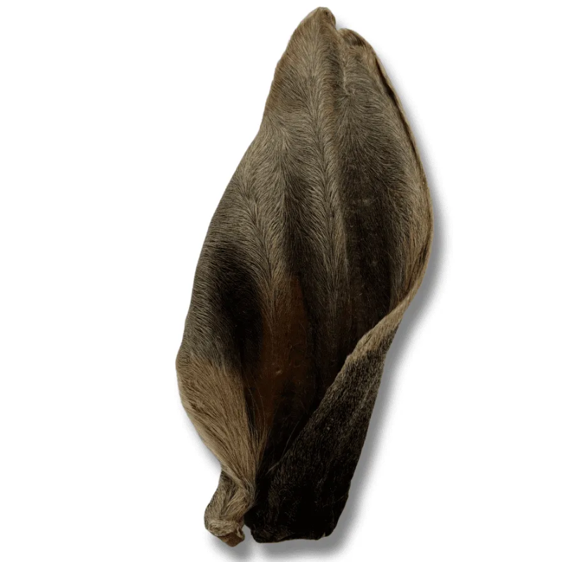 Orelha Bovina The Bull 1 Un