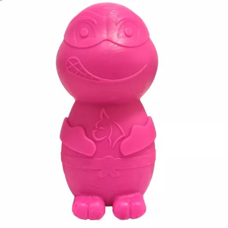Tartaruga G