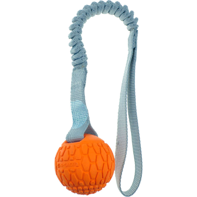 Brinquedo Para Pet Cachorro Mordedor Ngage Bungee Handler