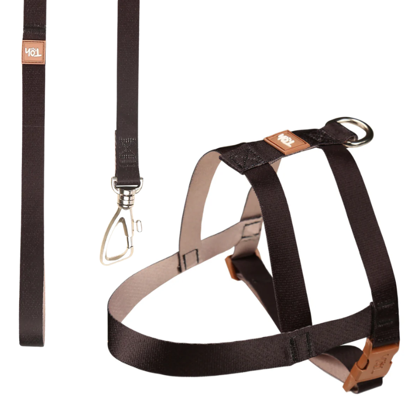 Conjunto Toh H Peitoral Tradicional Pop P Preto-Caqui